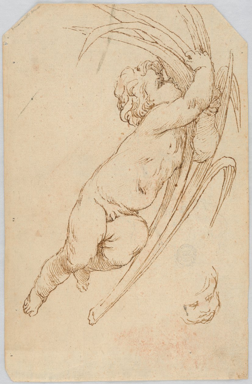 Disegno (Italia) da Unknown