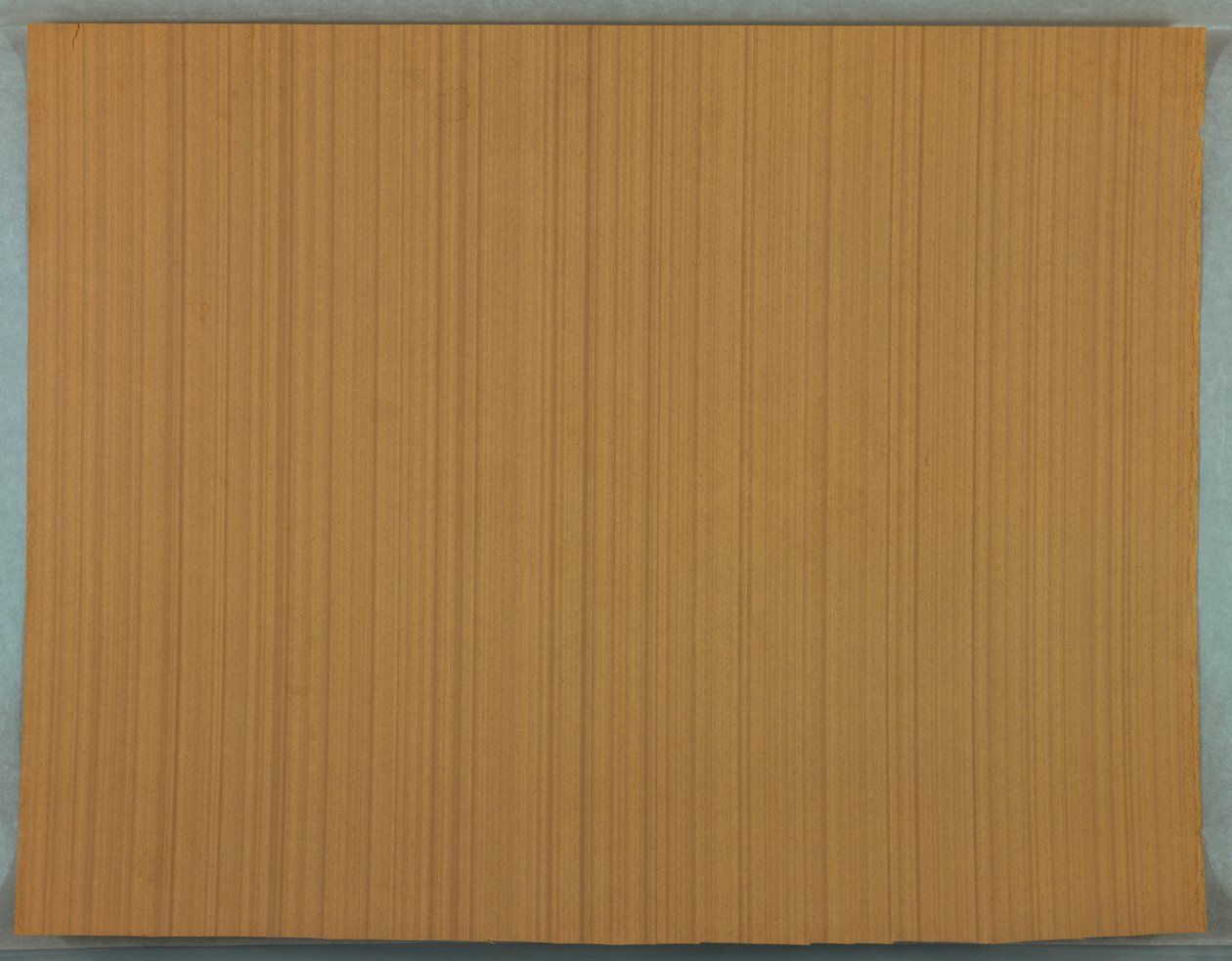 Carta da parati (possibilmente Francia), 1895-1905 da Unknown