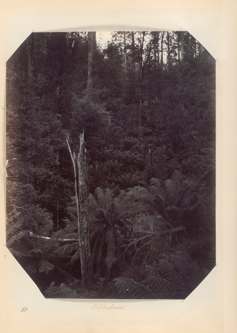 Australia - (Victoria e S. Australia) da Unknown