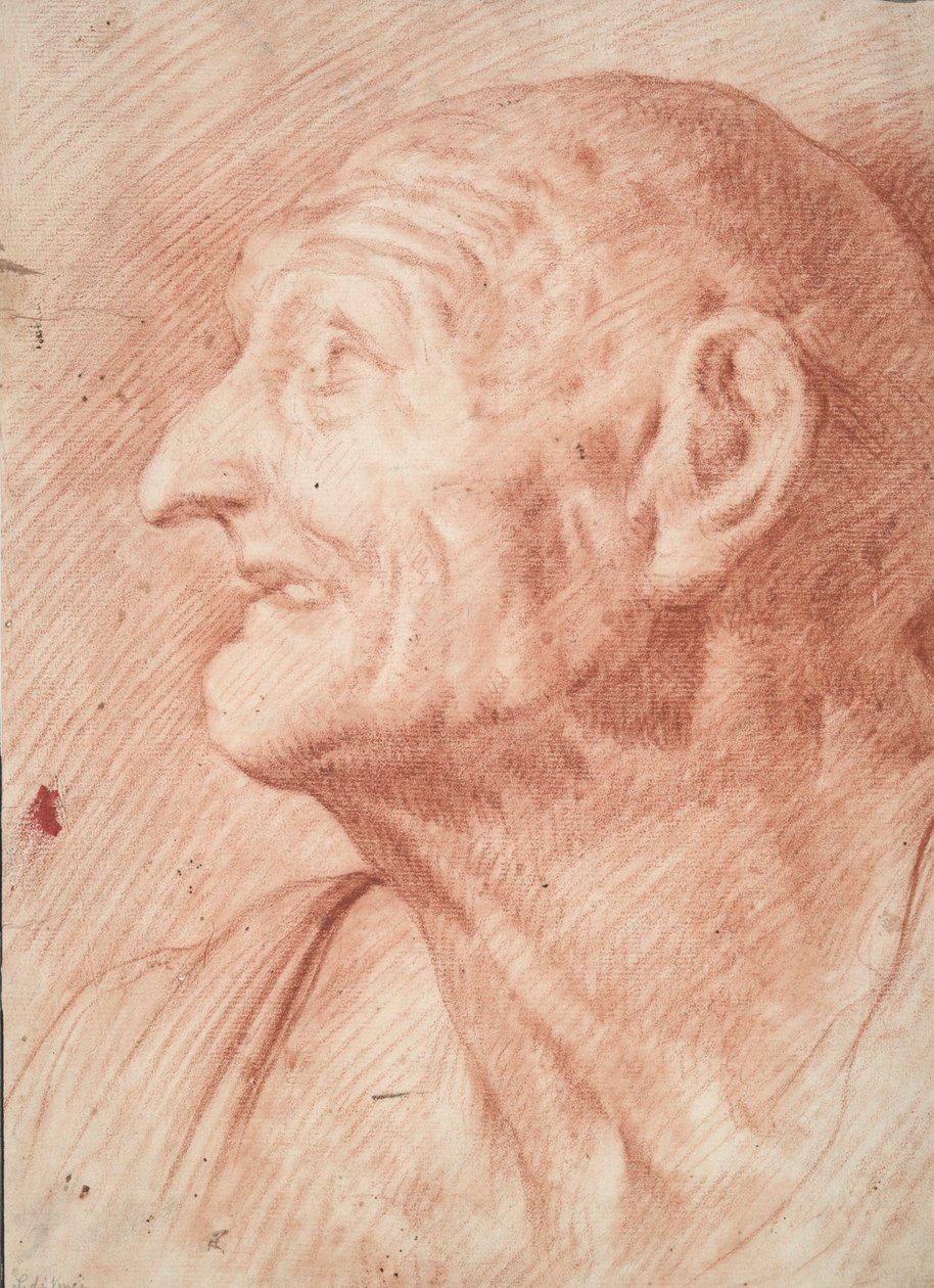 Busto di Seneca da Unknown