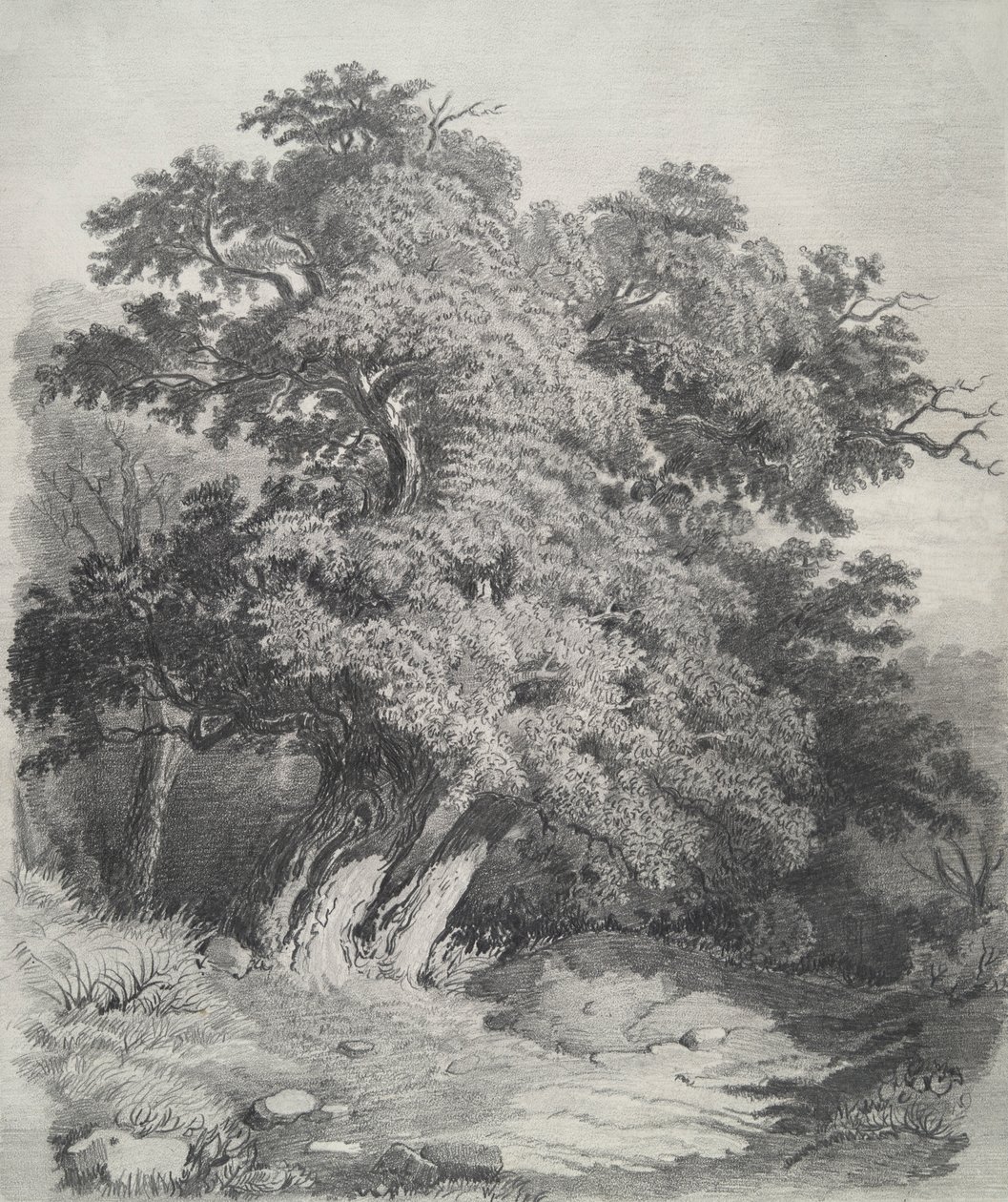 Gruppo di alberi da Unknown