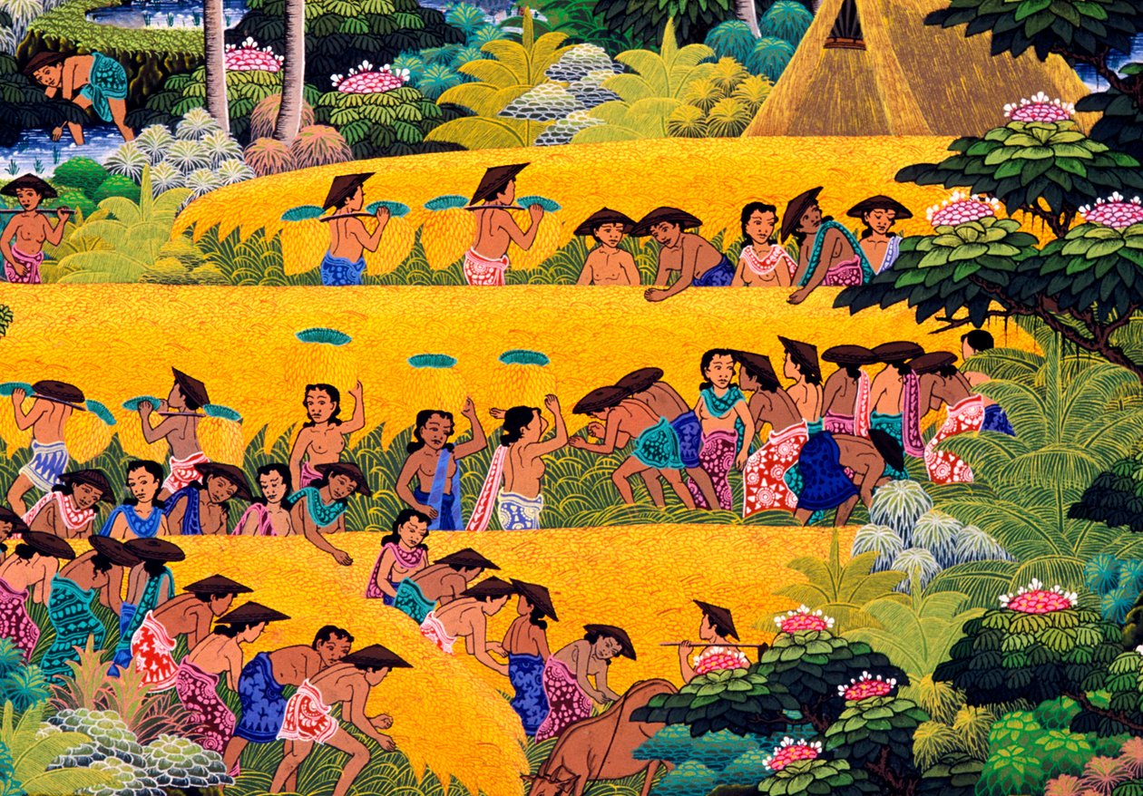 Raccolta del riso, Bali da Unknown