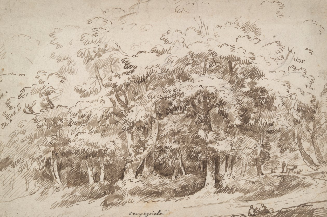 Studio di alberi da Unknown