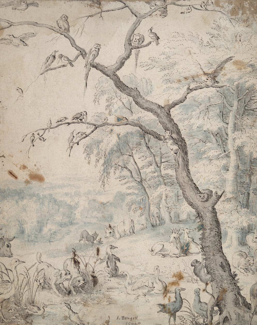 Il Giardino dell