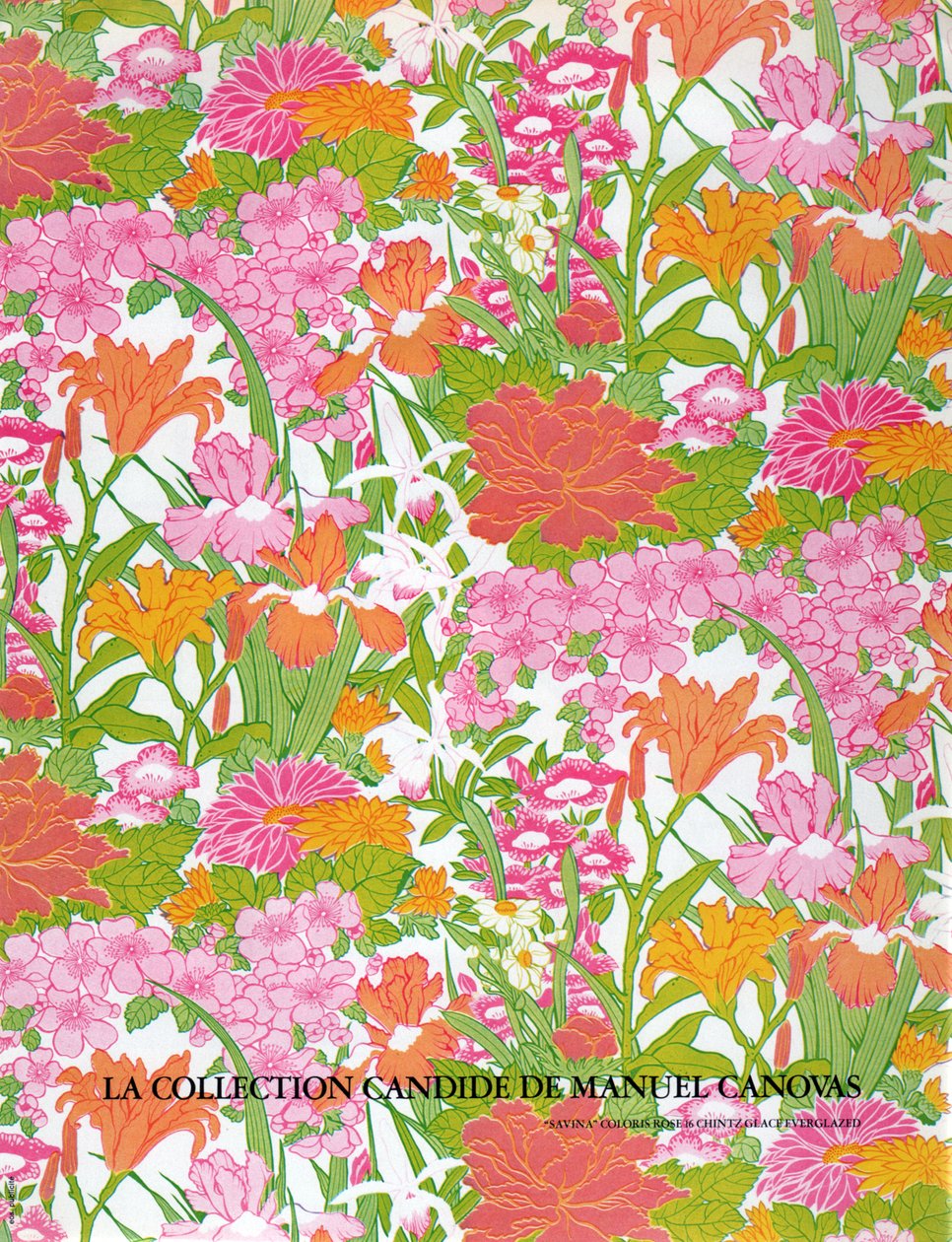 Tessuti Manuel Canovas da Unknown