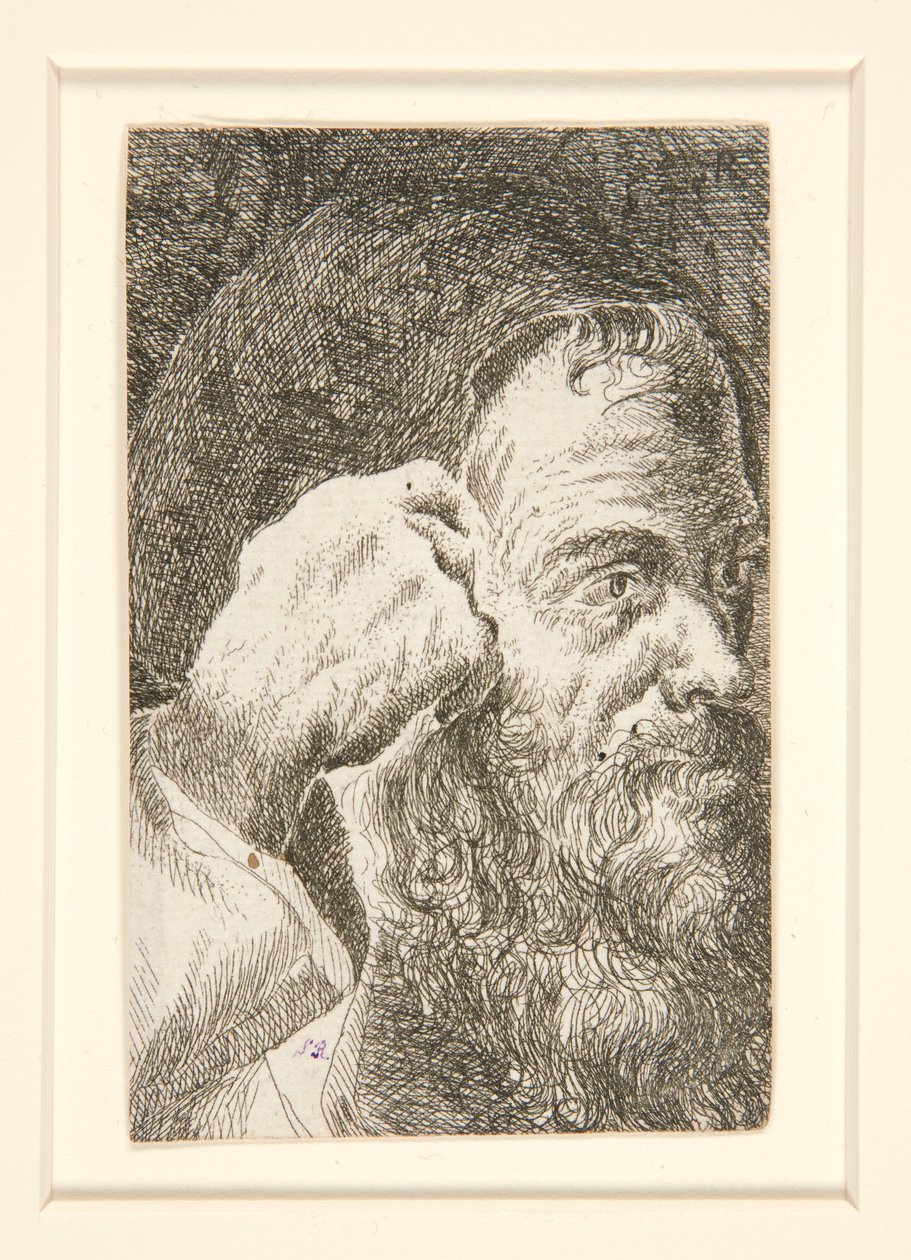 Senza titolo (Testa di un uomo barbuto) da Unknown