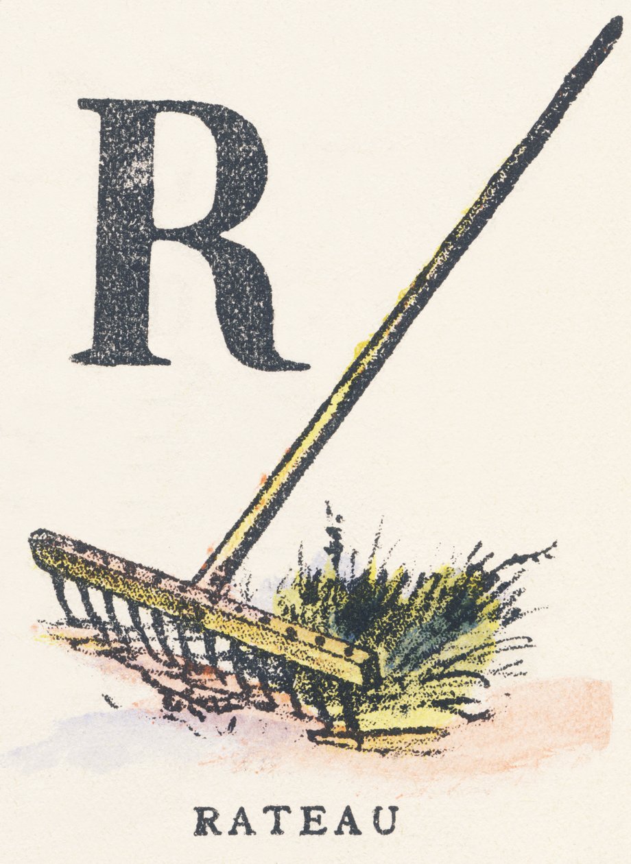 A: rastrello da Unknown artist