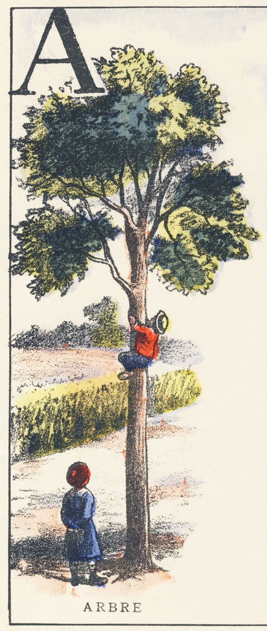 A: albero da Unknown artist
