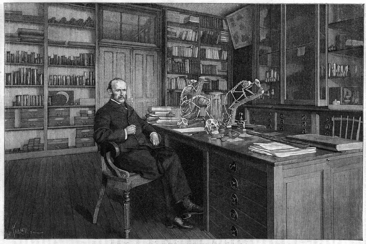 Alphonse Milne Edwards da Unknown artist