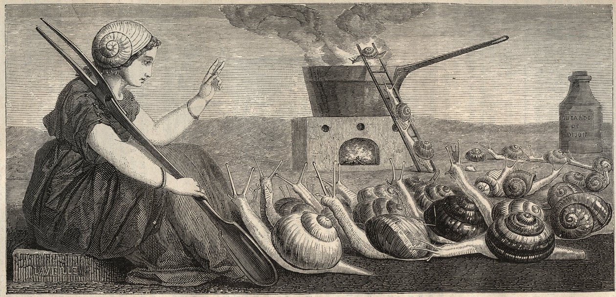 Chiocciola di Borgogna - incisione del XIX secolo da Unknown artist