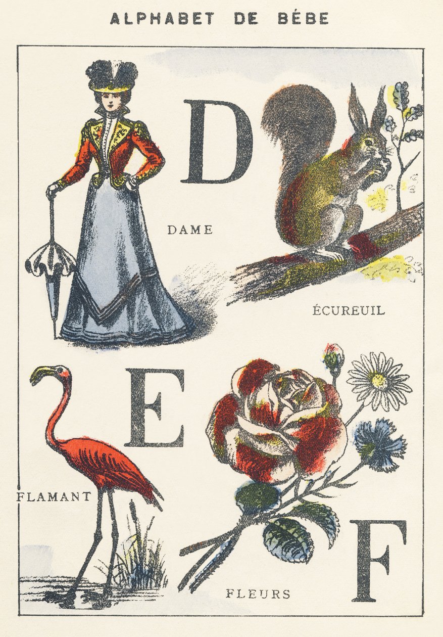 D E F: signora, scoiattolo, fenicottero, fiori da Unknown artist