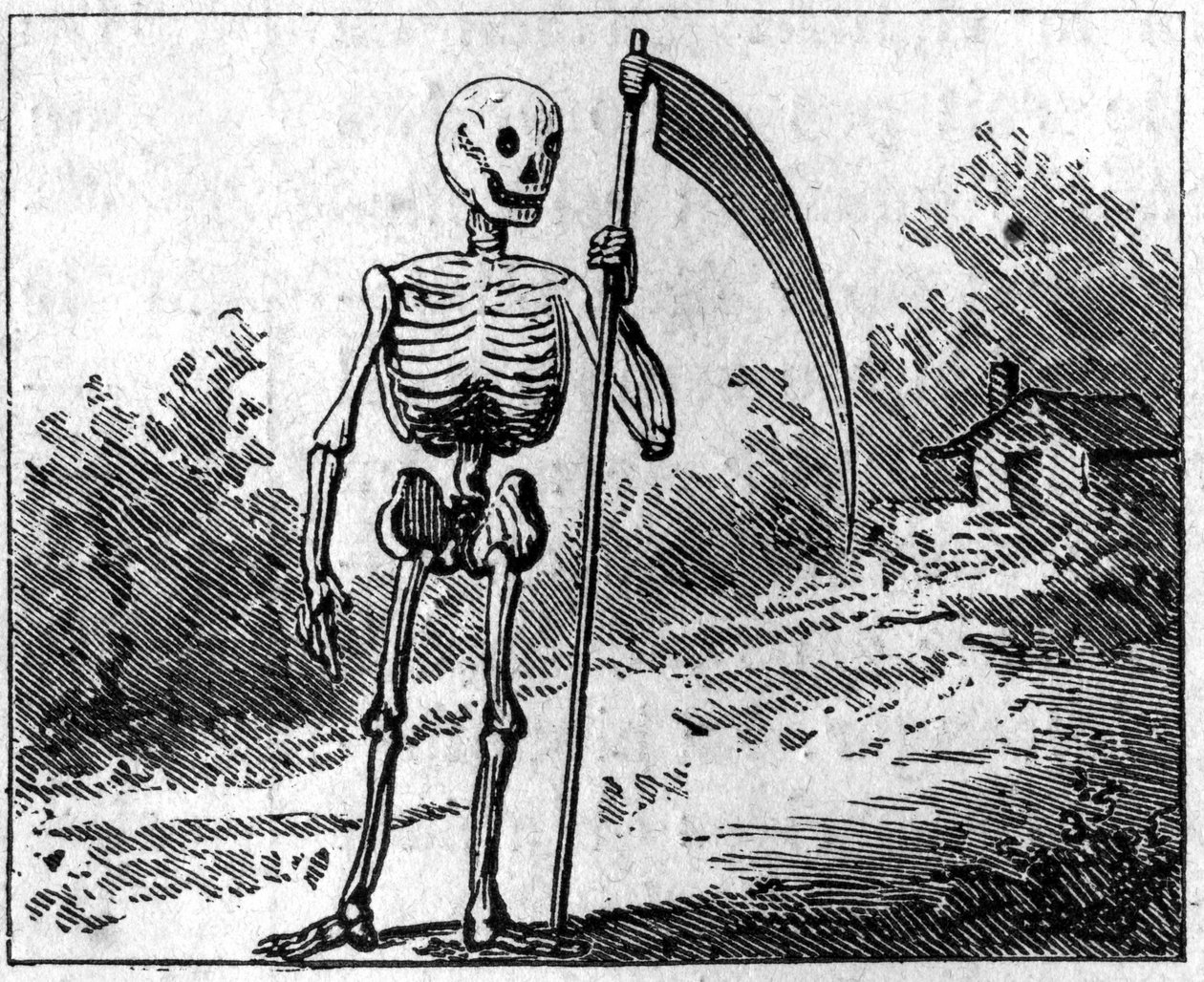 La morte rappresentata con una falce. Incisione del 1860. da Unknown artist
