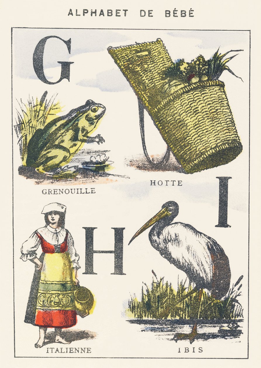 G H I: rana, cappuccio, italiano, ibis da Unknown artist