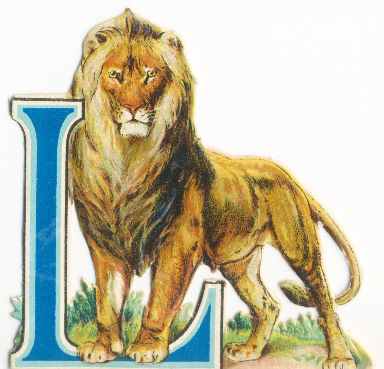 L: Leone da Unknown artist