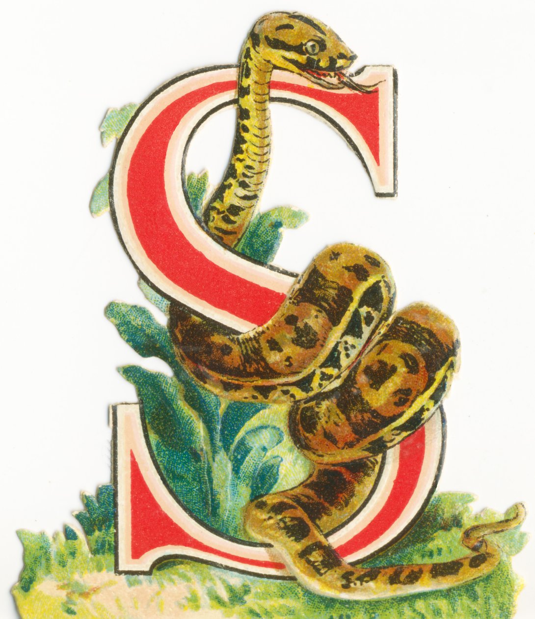 S: serpente da Unknown artist