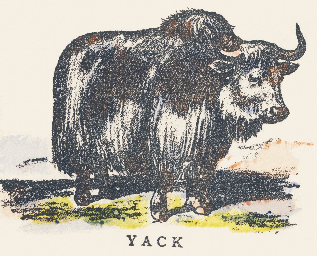 Y: yak da Unknown artist