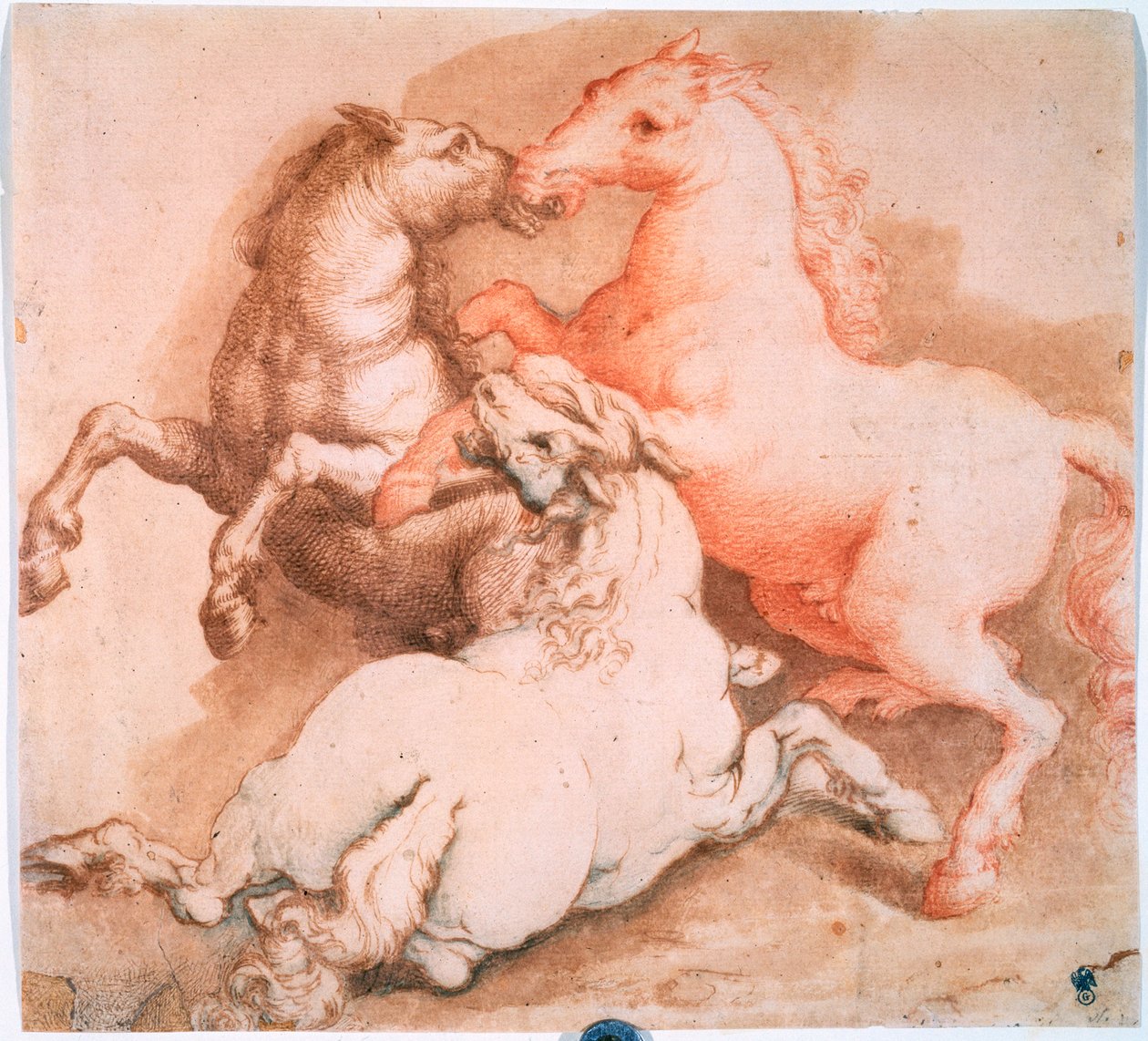 Cavalli combattenti da Unknown Old Master