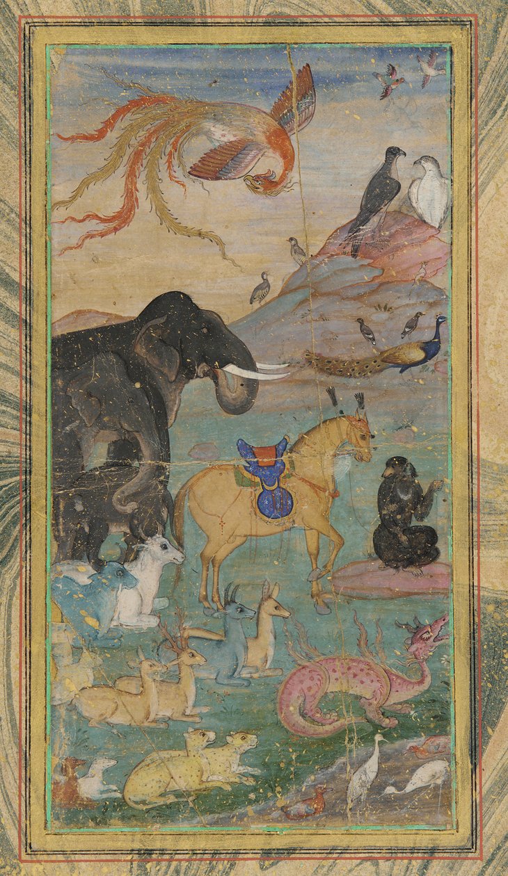 Animali e uccelli da Unknown artist