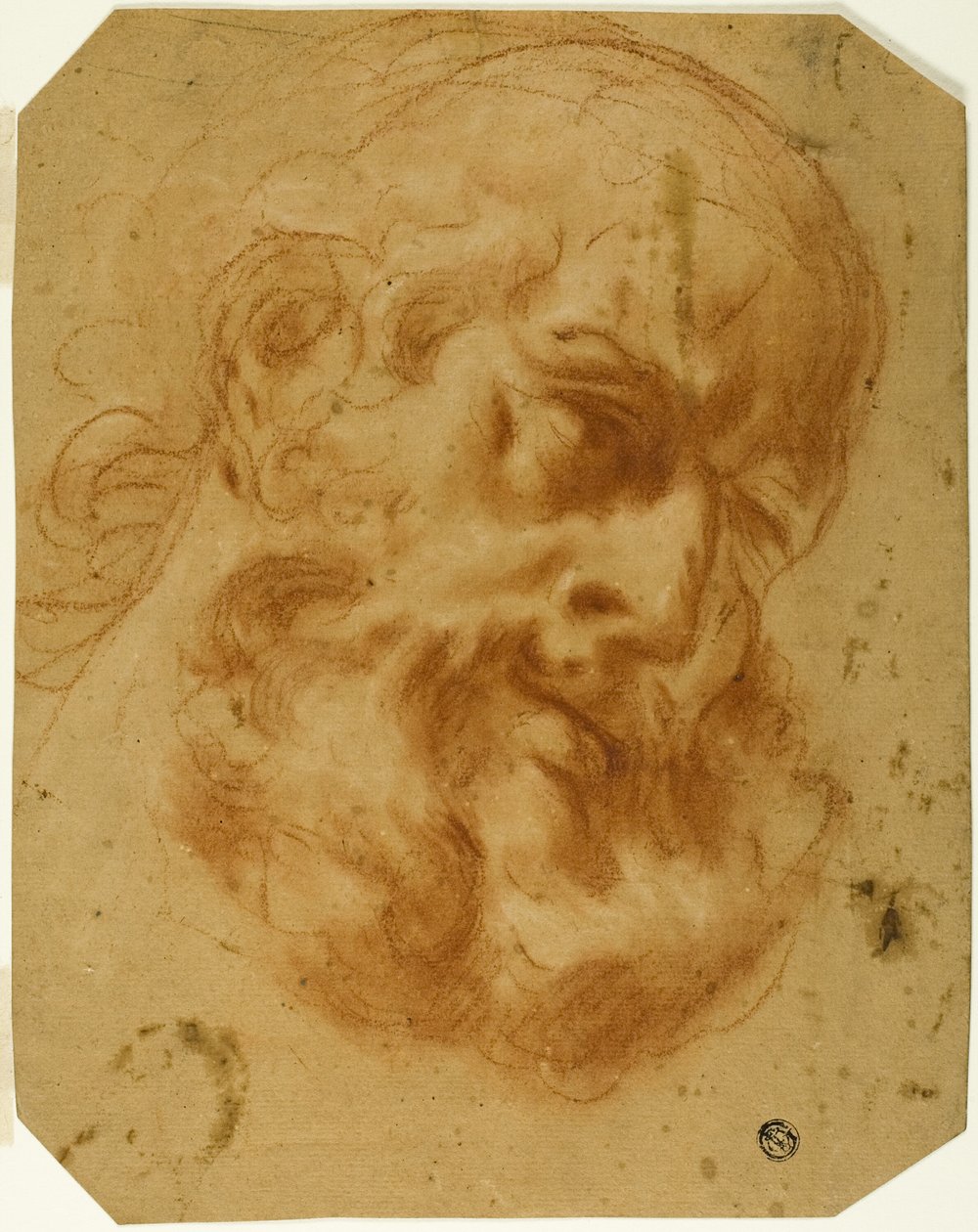 Testa Barbuta da Unknown artist