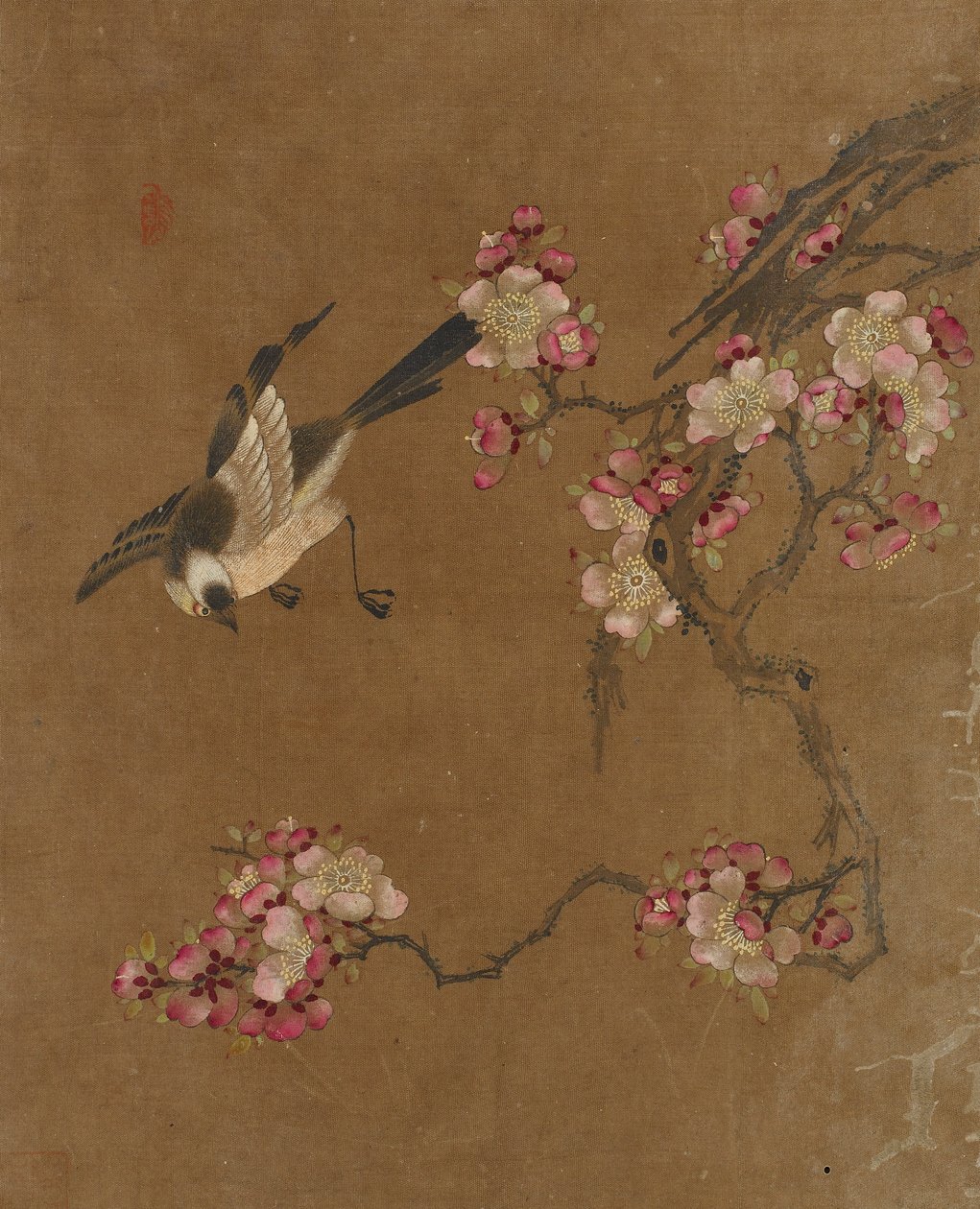 Uccelli e Fiori da Unknown artist