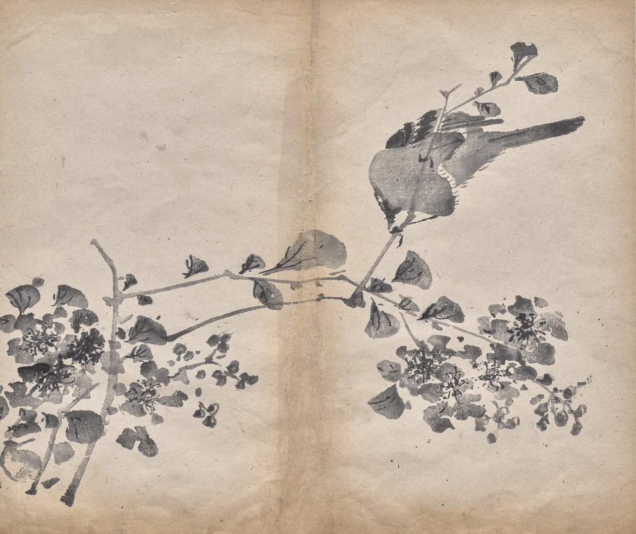 Fiori da Unknown artist