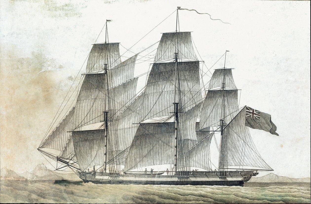 Nave mercantile britannica da Unknown artist
