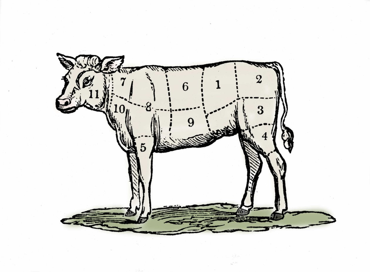 Bloccaggio del vitello. da Unknown artist