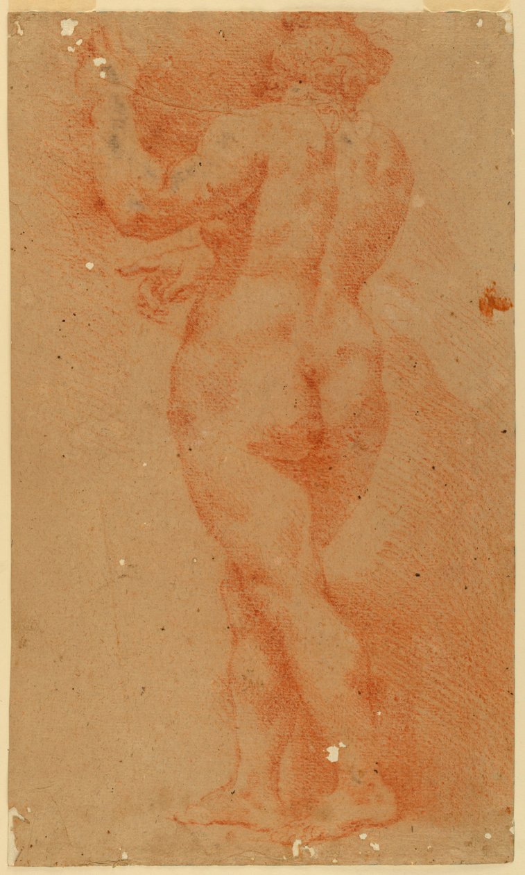 Studio in controprova di una donna nuda da Unknown artist