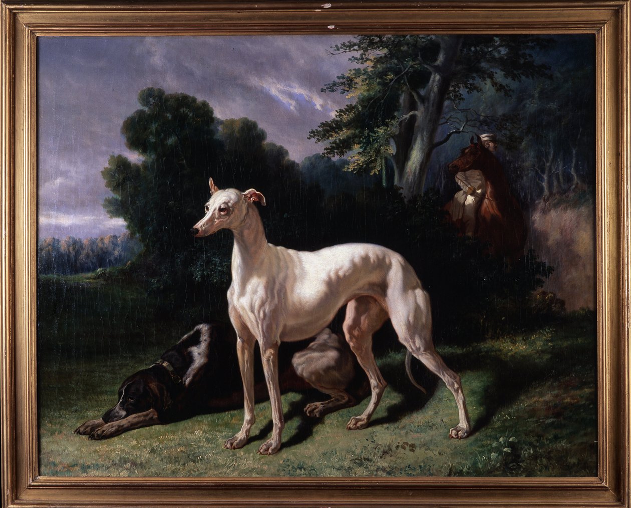 Cani (Levary) da Unknown artist