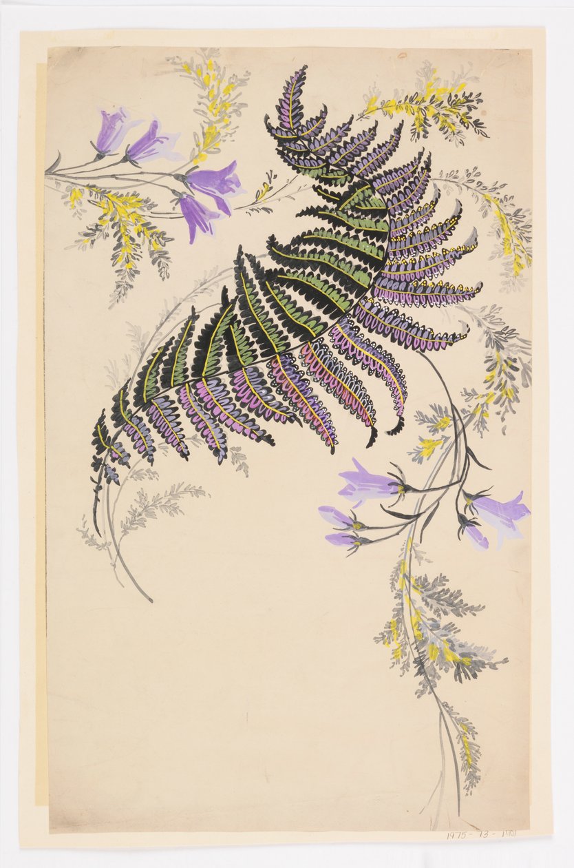 Disegno da Unknown artist
