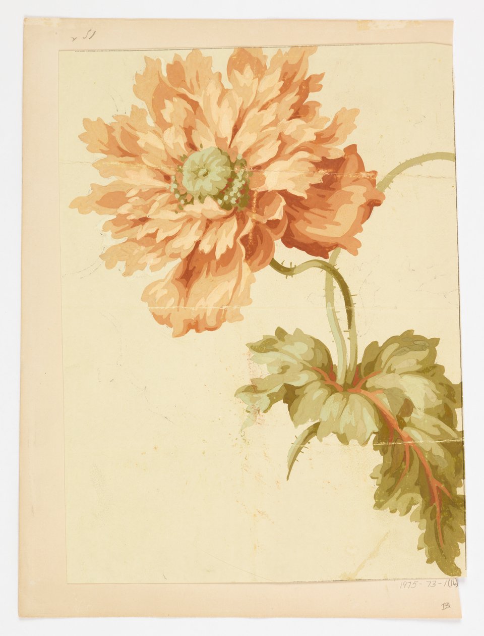Disegno da Unknown artist