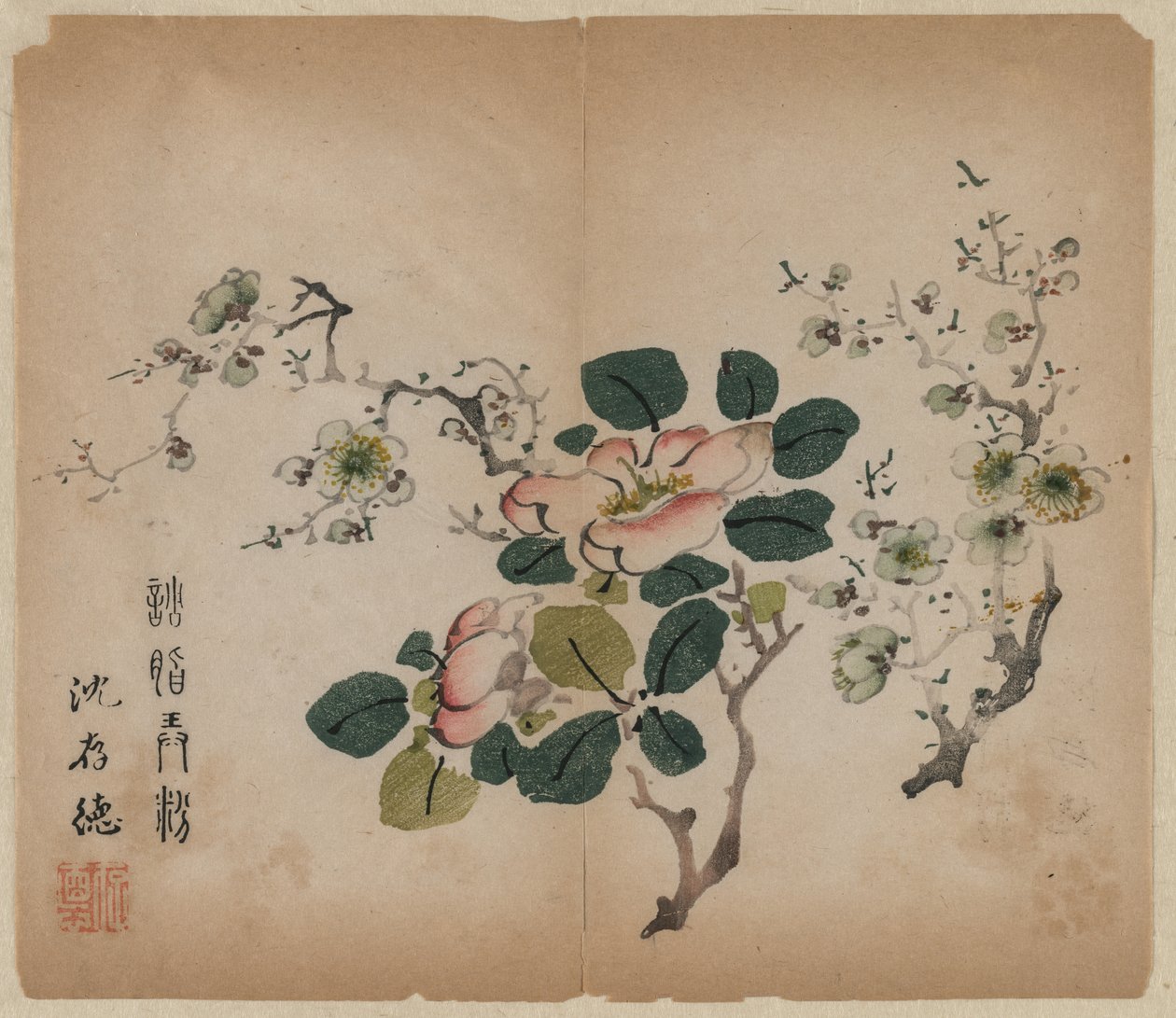 Prunus in fiore da Unknown artist