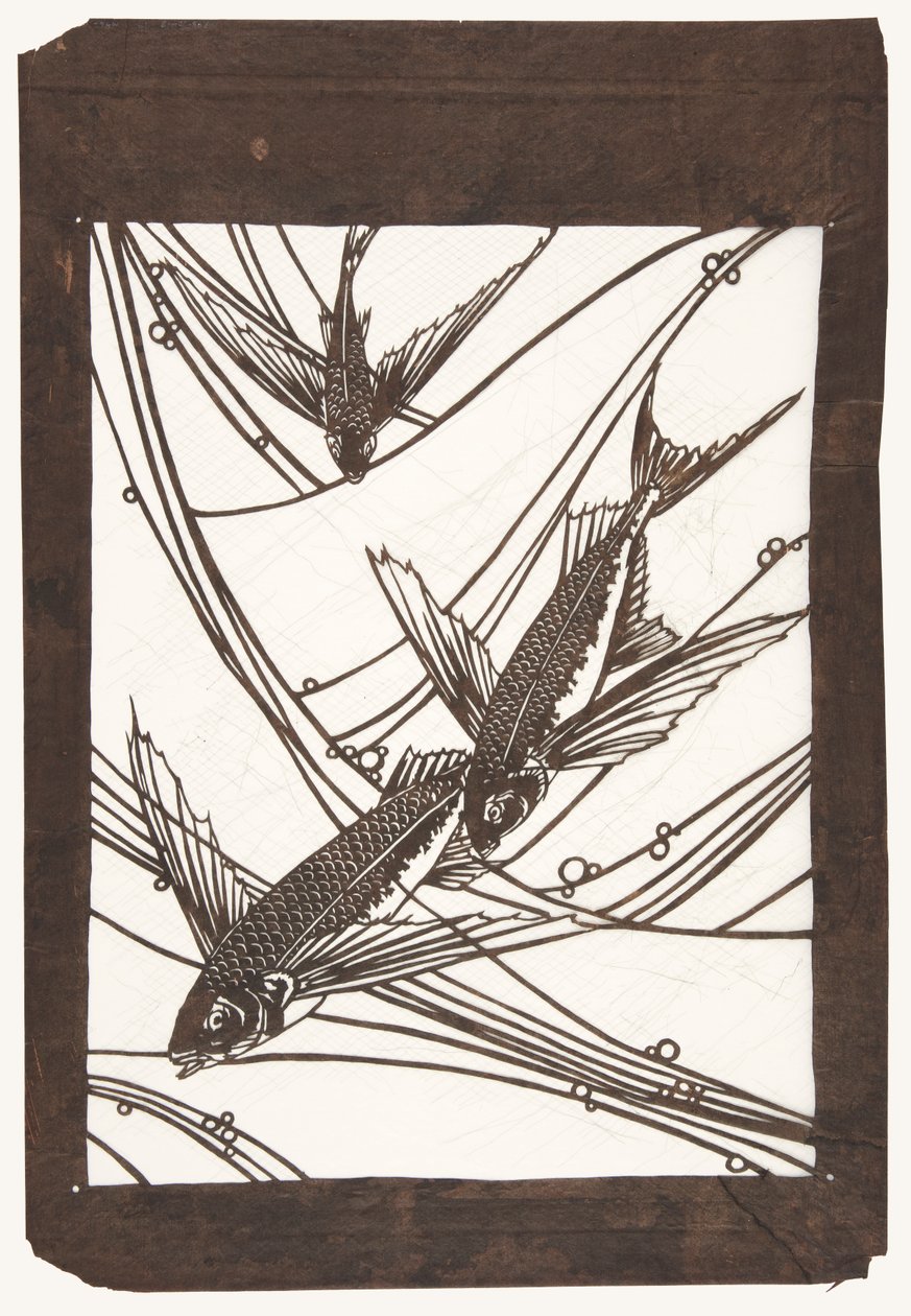 Pesce volante da Unknown artist