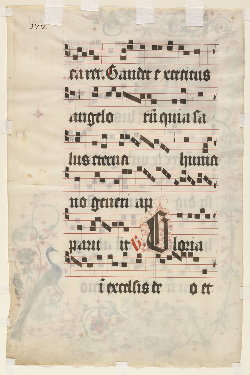 Foglio da un Antifonario: Testo (verso) da Unknown artist