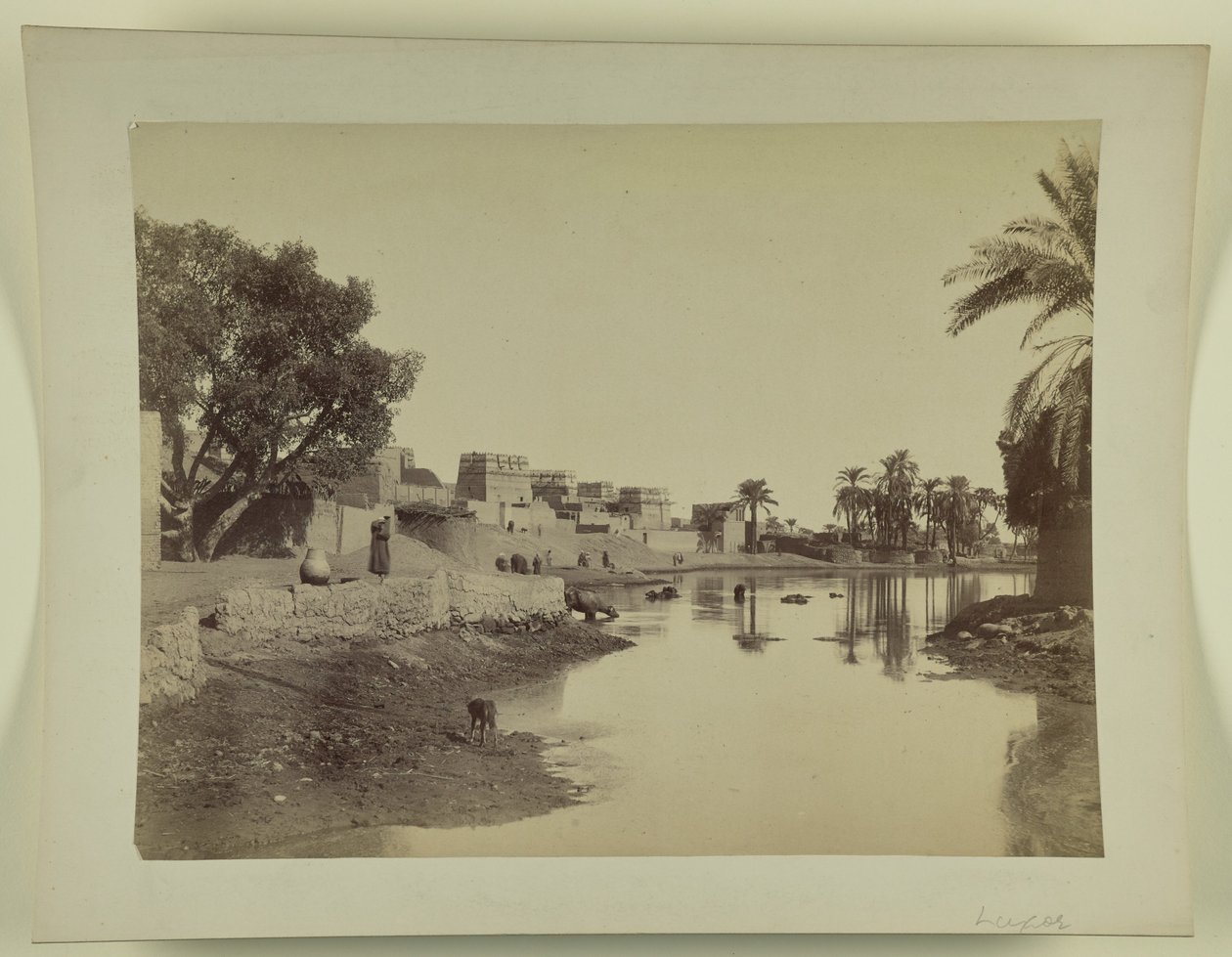 [Luxor] da Unknown artist