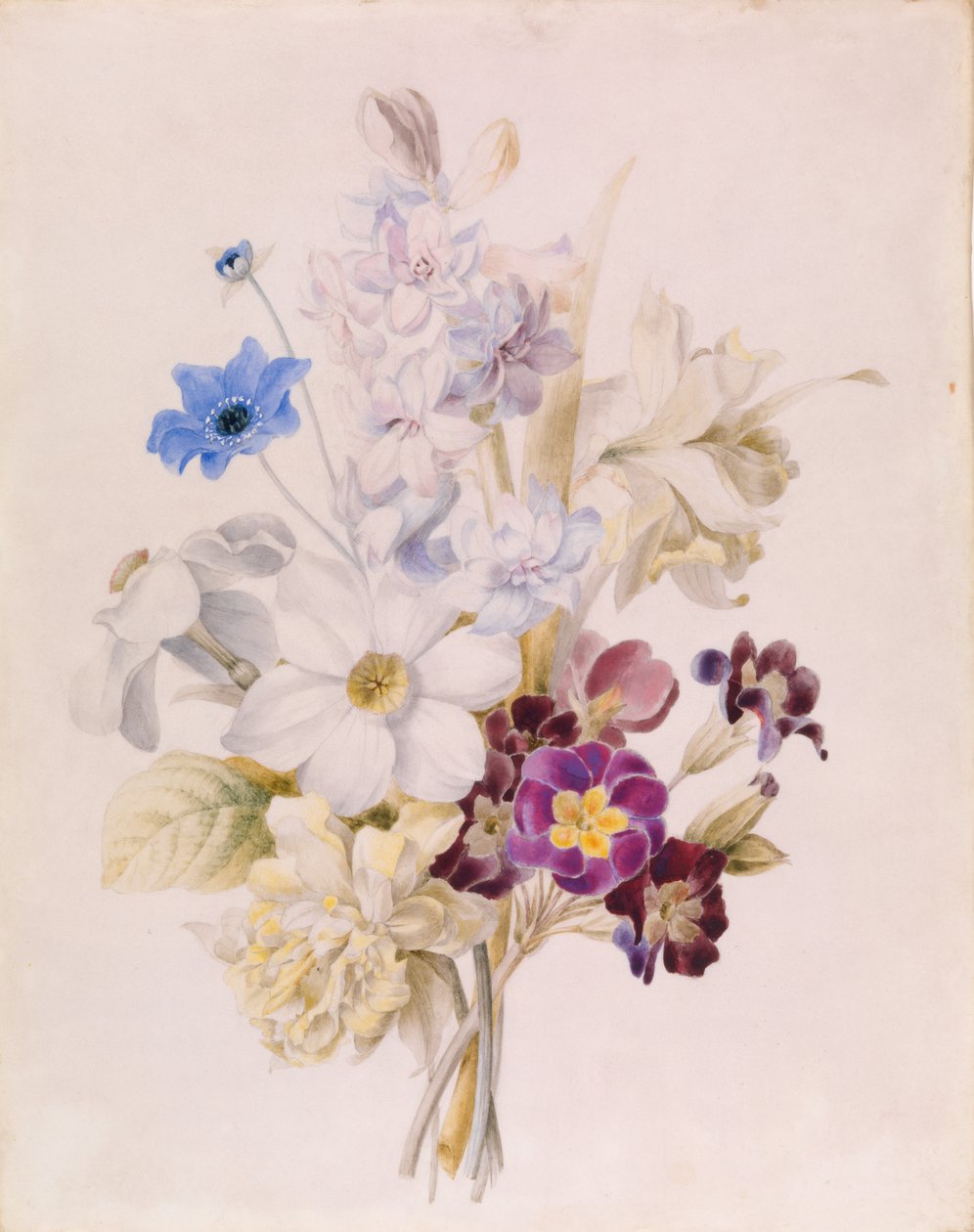 Narciso e altri fiori da Unknown artist