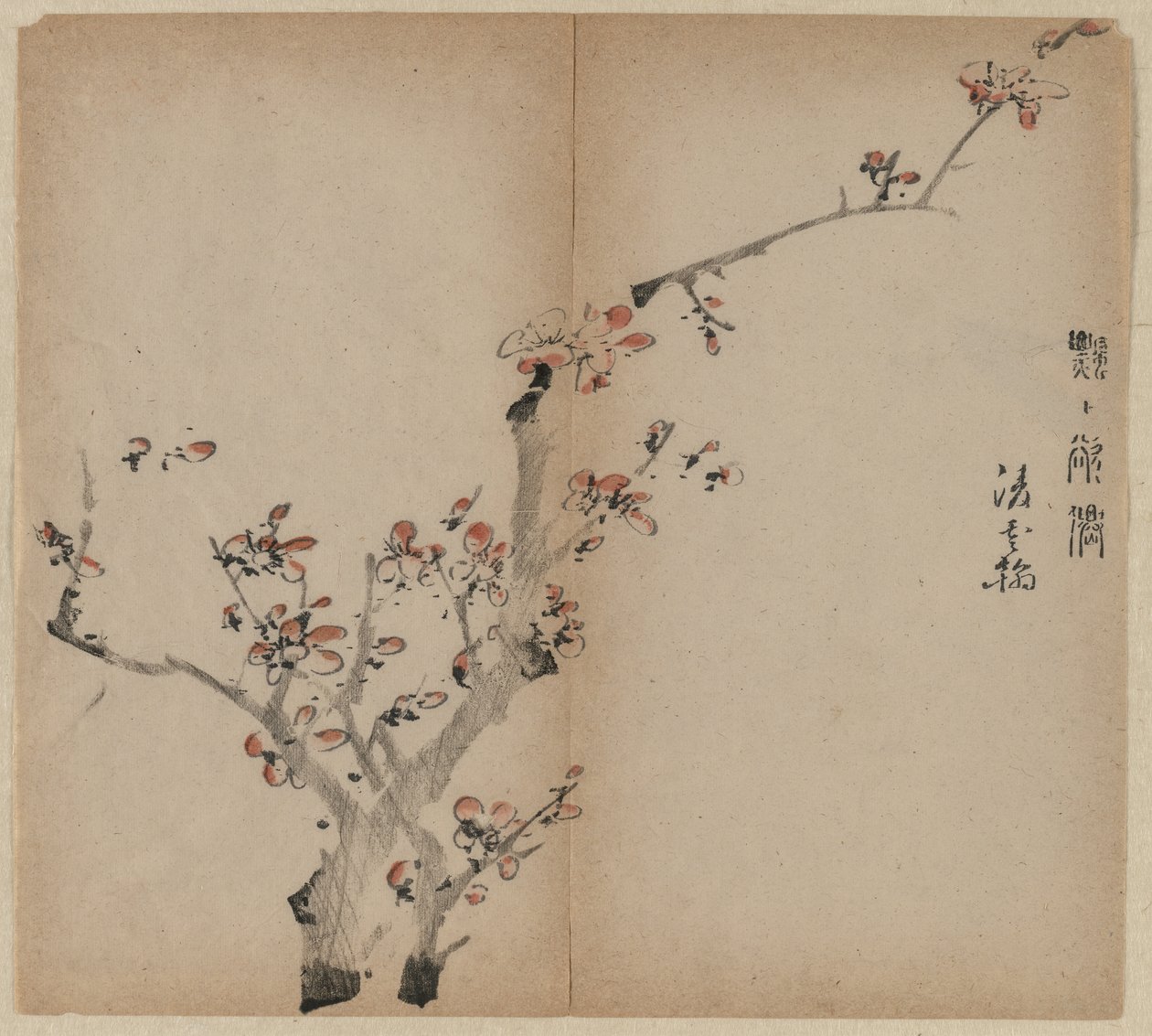 Fiori di pesco da Unknown artist