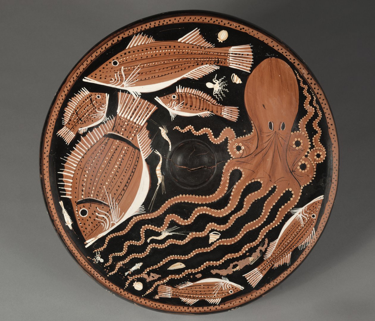 Piatto di pesce a figure rosse: Polpi, cefali, orate, molluschi da Unknown artist