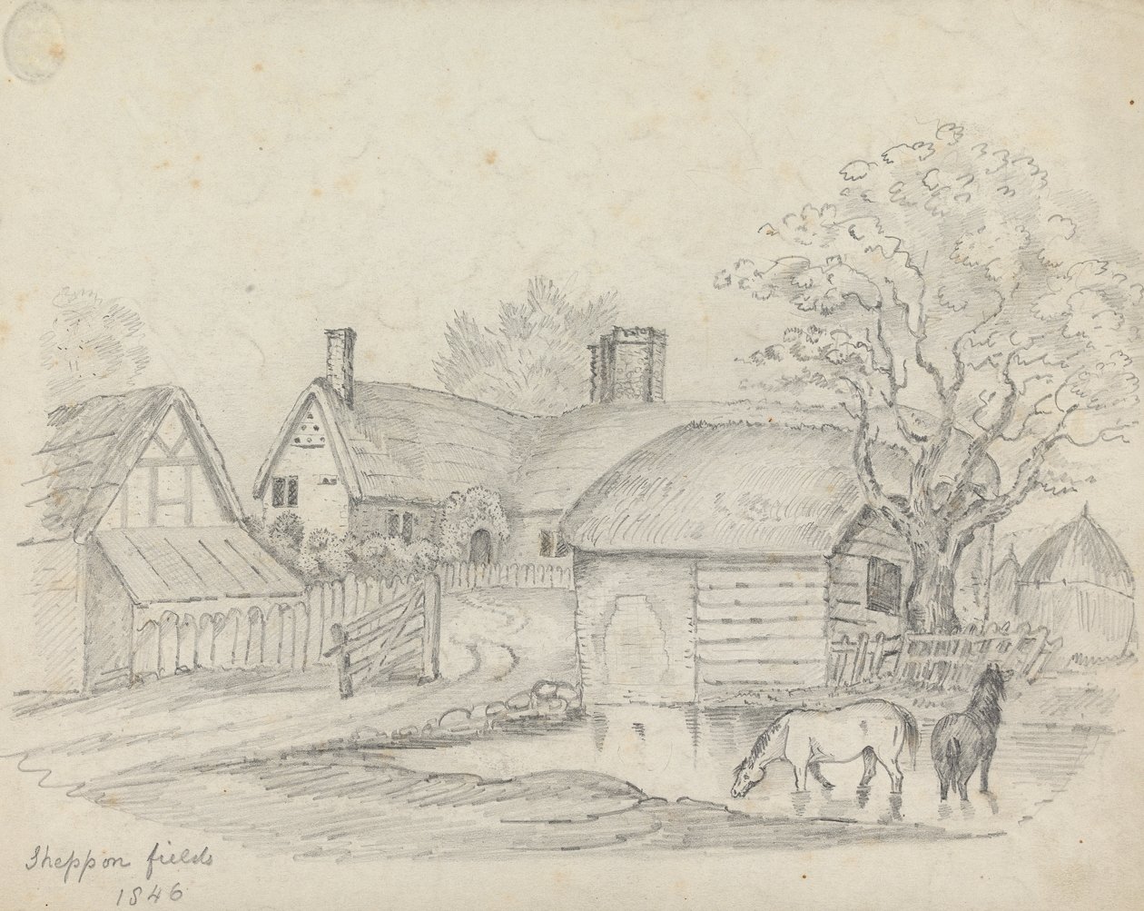 Sheppon Fields da Unknown artist