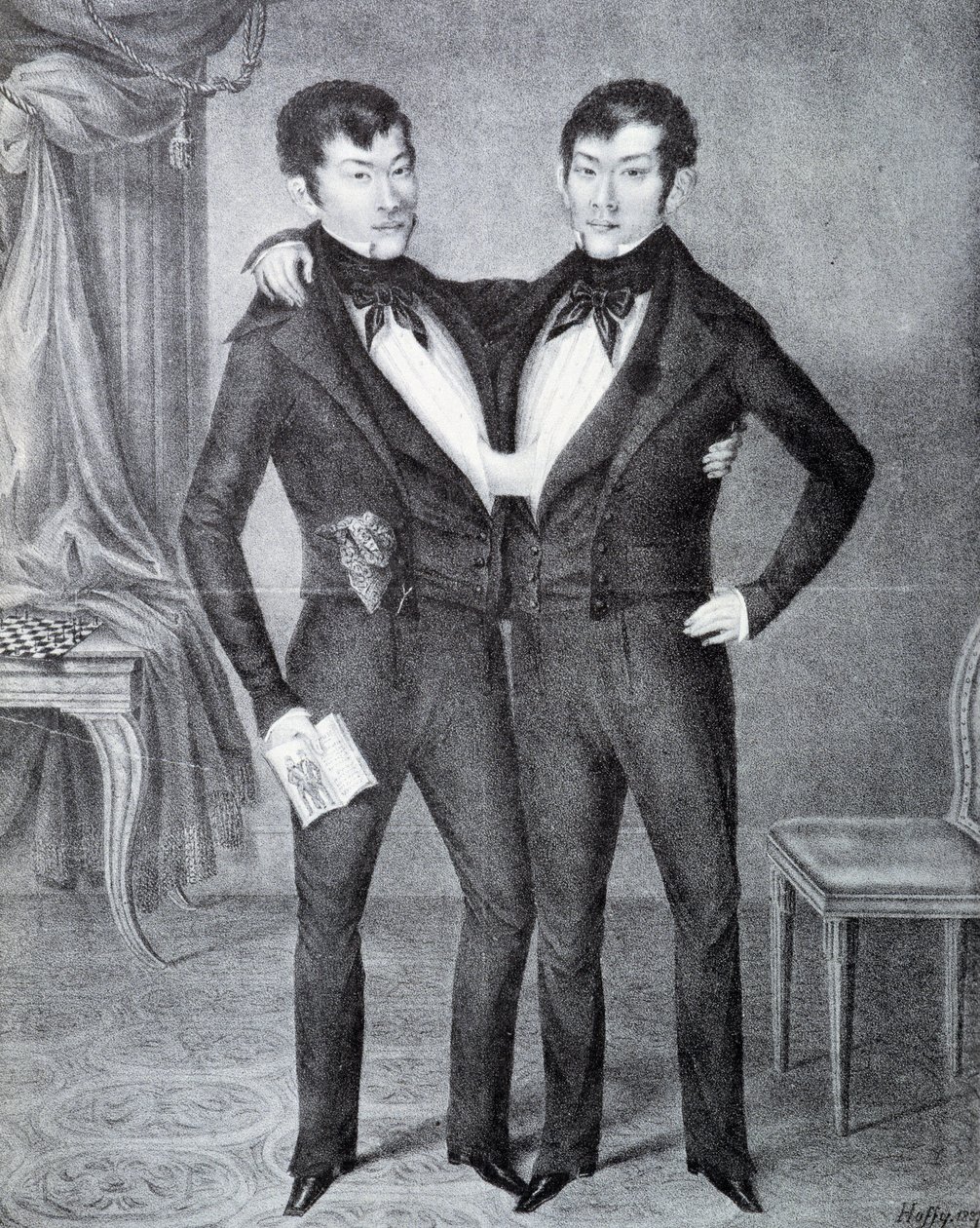 Siamese da Unknown artist