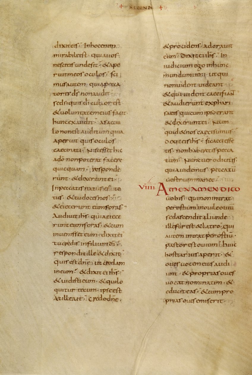 Pagina di testo da Unknown artist