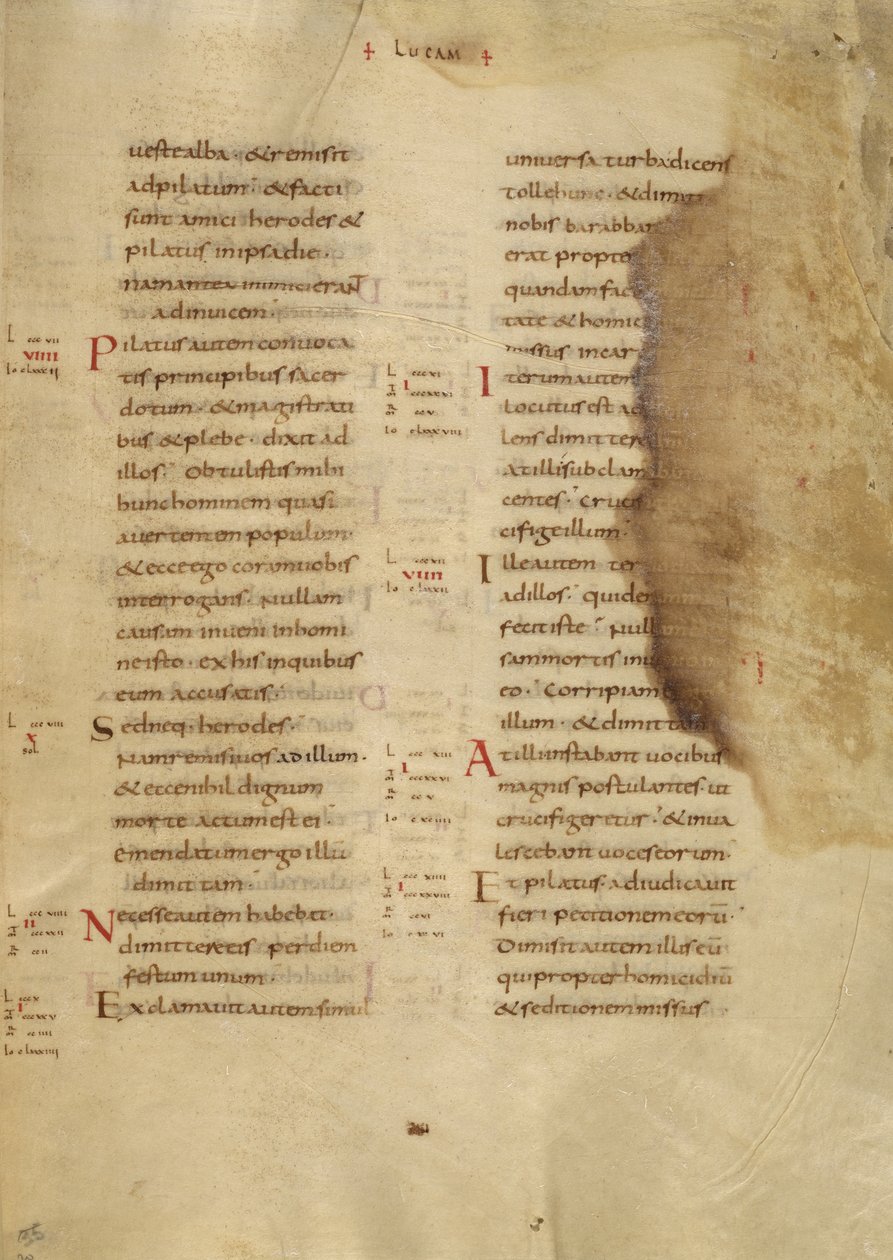 Pagina di testo da Unknown artist