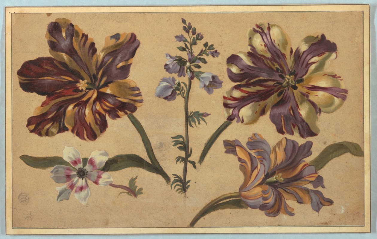 Vari Fiori da Unknown artist