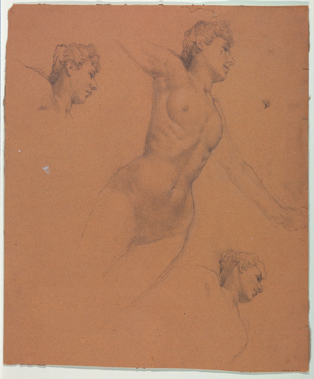 Disegno da Unknown artist