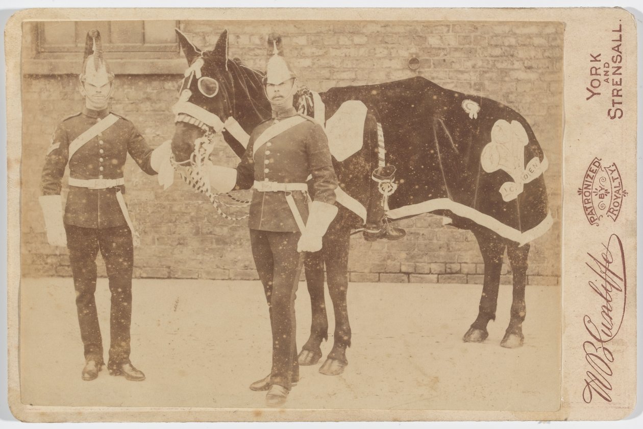 Un Cavallo del 3° da Unknown photographer