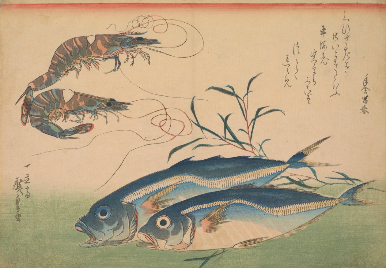Sgombro cavallo (Aji) con gamberetto, con iscrizione da Utagawa Hiroshige