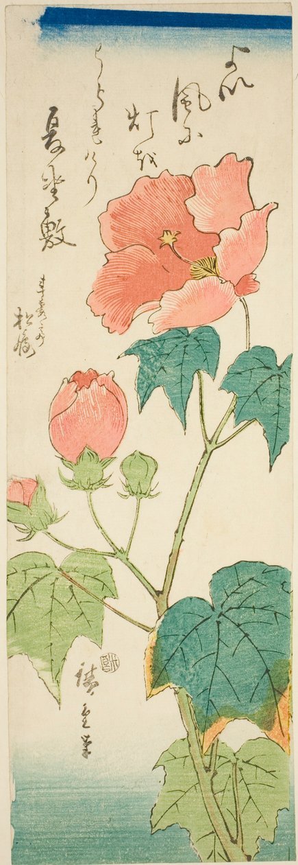 Ibisco da Utagawa Hiroshige