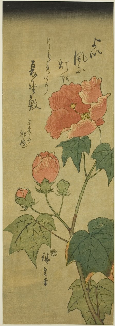 Ibisco da Utagawa Hiroshige