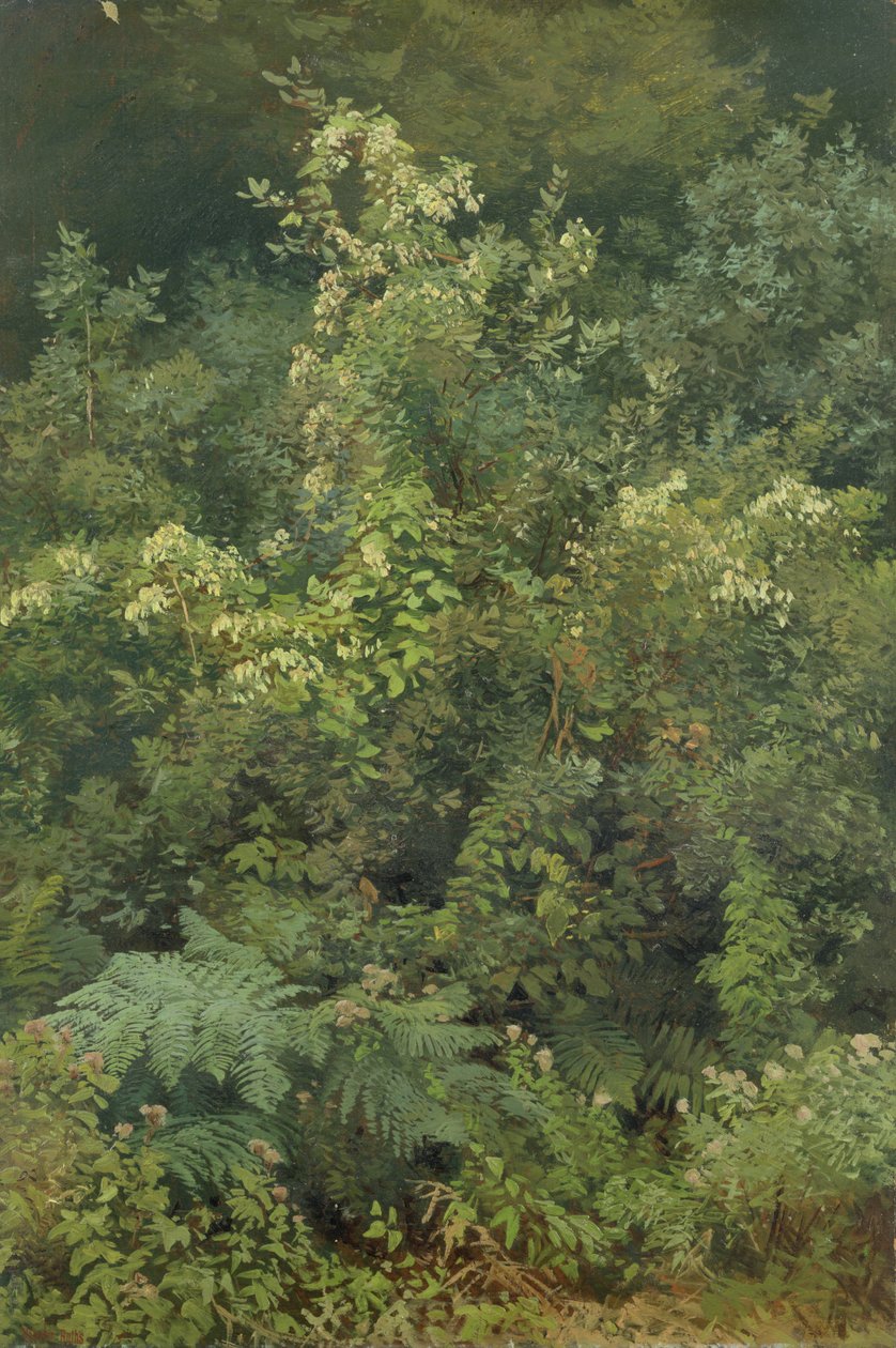 Luppoli e felci nel bosco, 1870 da Valentin Ruths