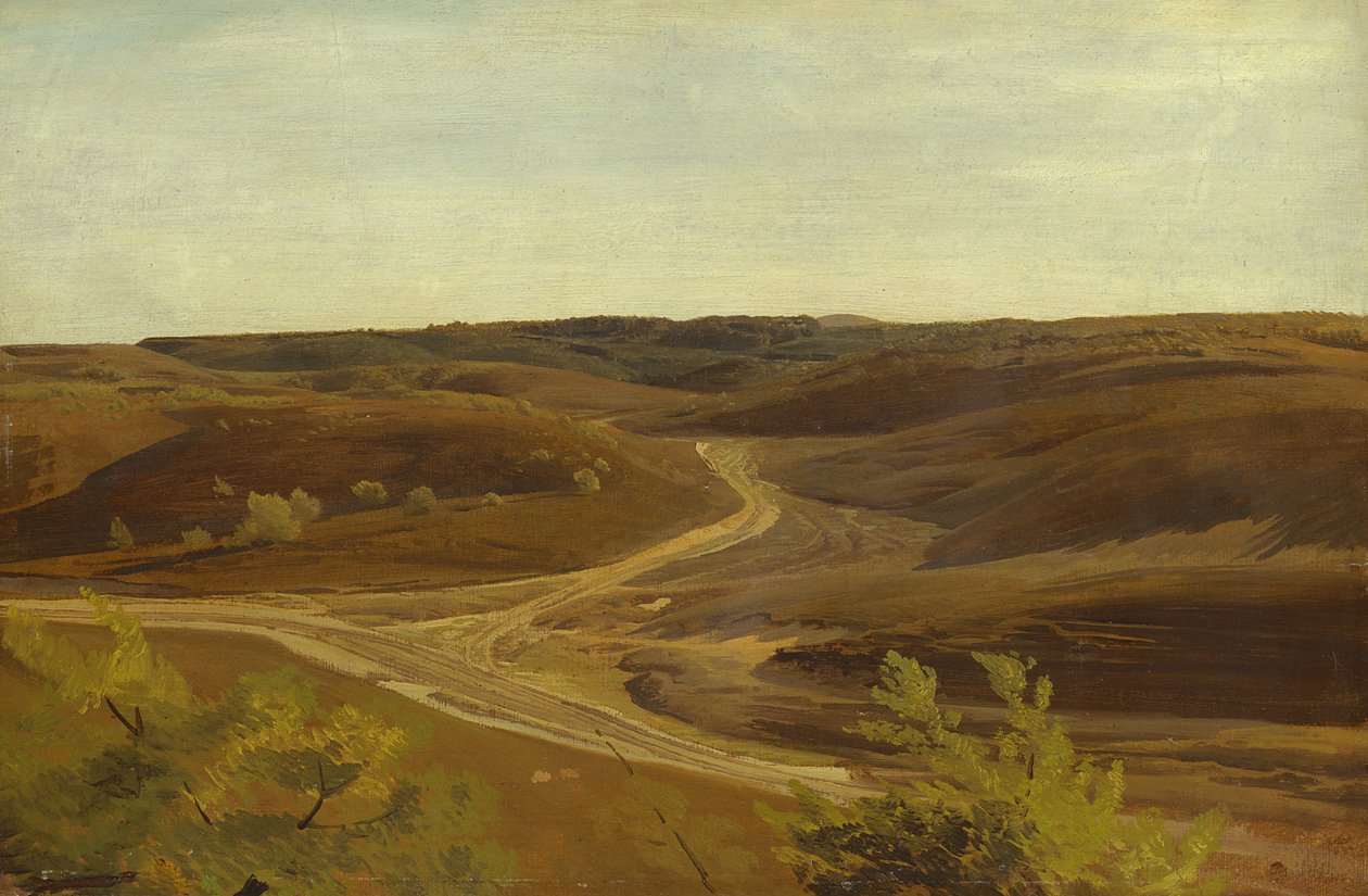 La brughiera vicino a Ehestorf, 1868 da Valentin Ruths